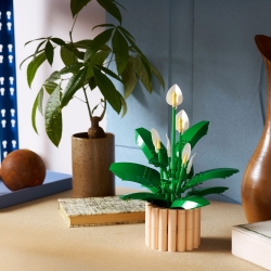 Klocki LEGO 11504 Skrzydłokwiat BOTANICALS